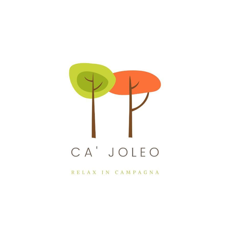Ca'Joleo - Relax In Campagna Del Lago Di Garda San Giorgio in Salici Kültér fotó